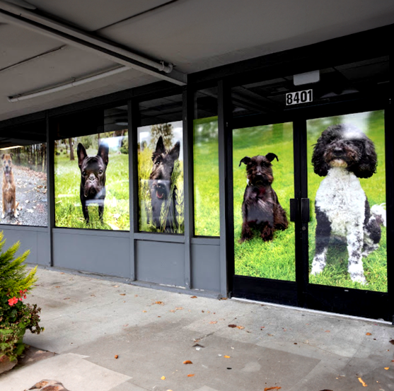 Window Graphics